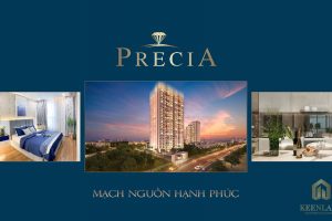 Phương thức thanh toán và ưu đãi mua căn hộ Precia Quận 2 mới nhất