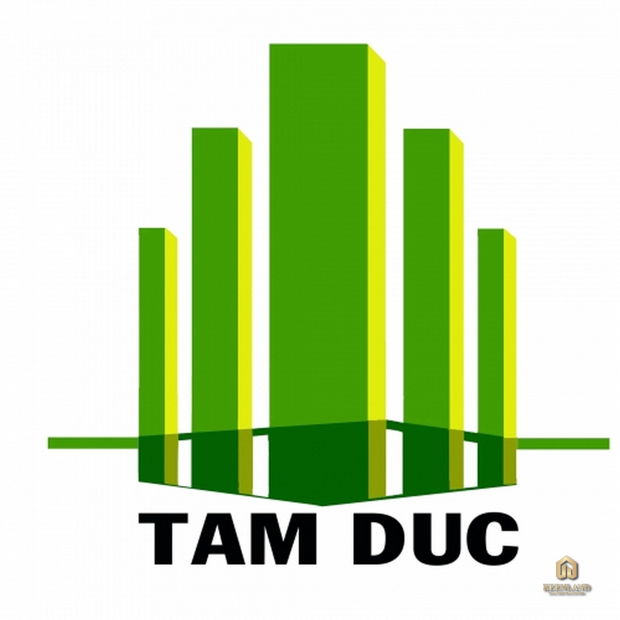 Logo chủ đầu tư Tam Đức