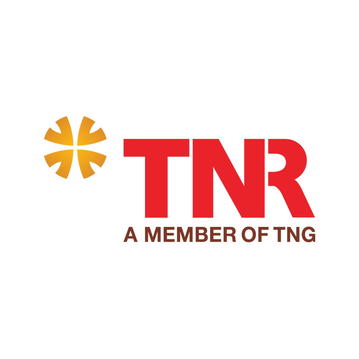 Logo đơn vị phát triển dự án The Gold View Quận 4 - TNR Holdings