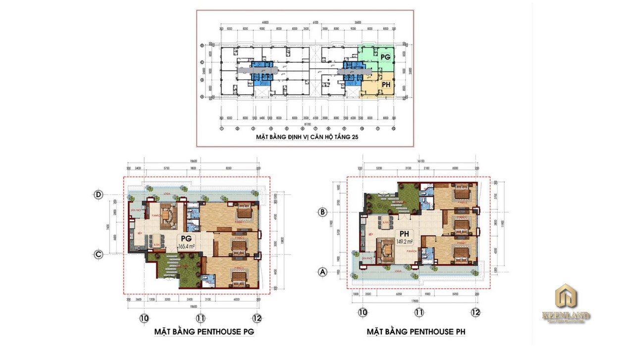 Mặt bằng căn hộ điển hình dự án Tam Đức Plaza