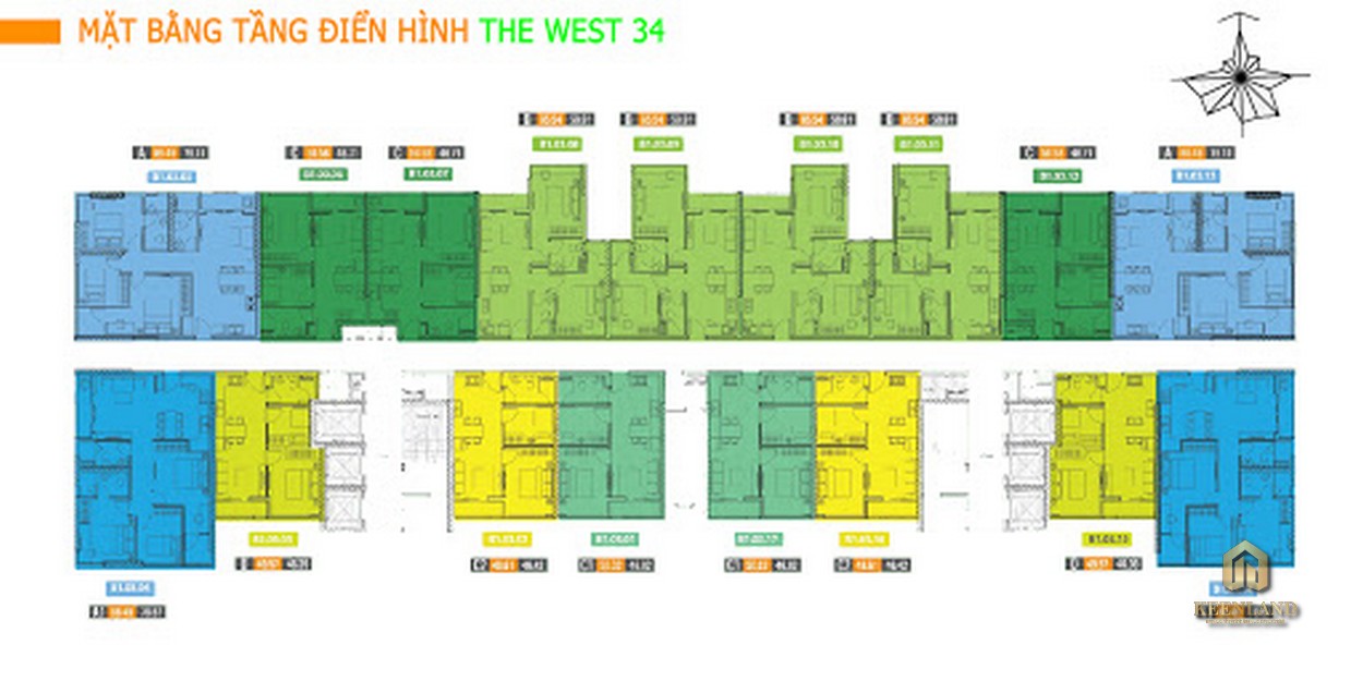 Mặt bằng tầng điển hình dự án The Western Capital