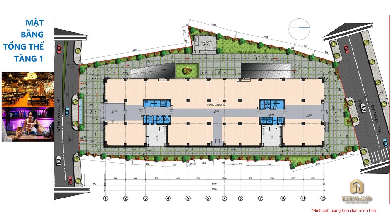 Mặt bằng tổng thể tầng 1 dự án Tam Đức Plaza