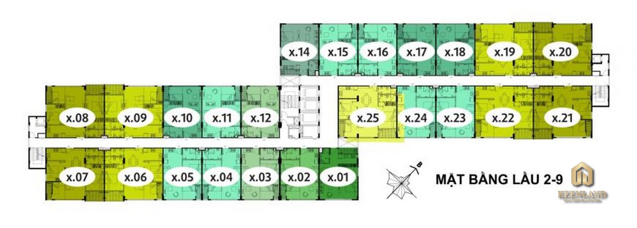 Mặt bằng tổng thể tầng 2 - 9 Block B dự án EHome 5