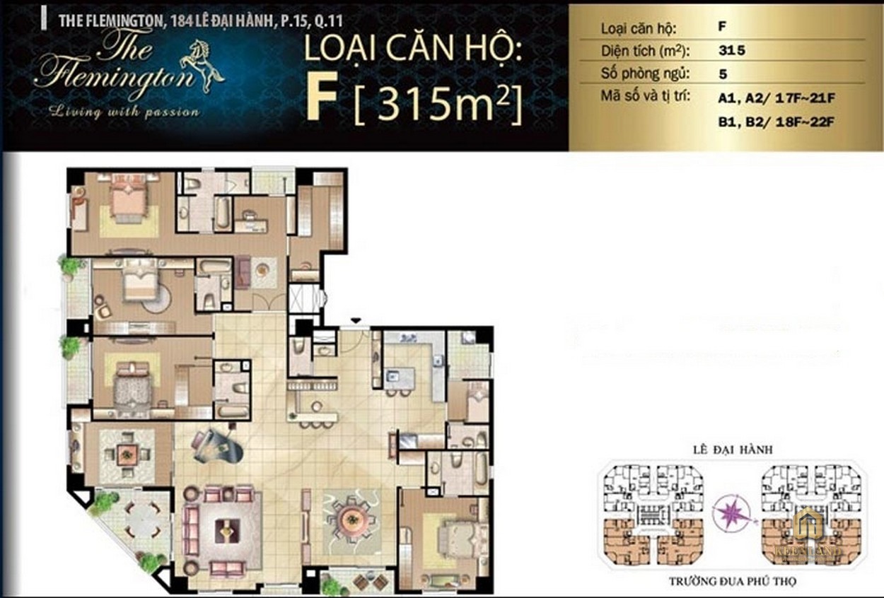 Mặt bằng căn hộ The Flemington Penthouse Loại F