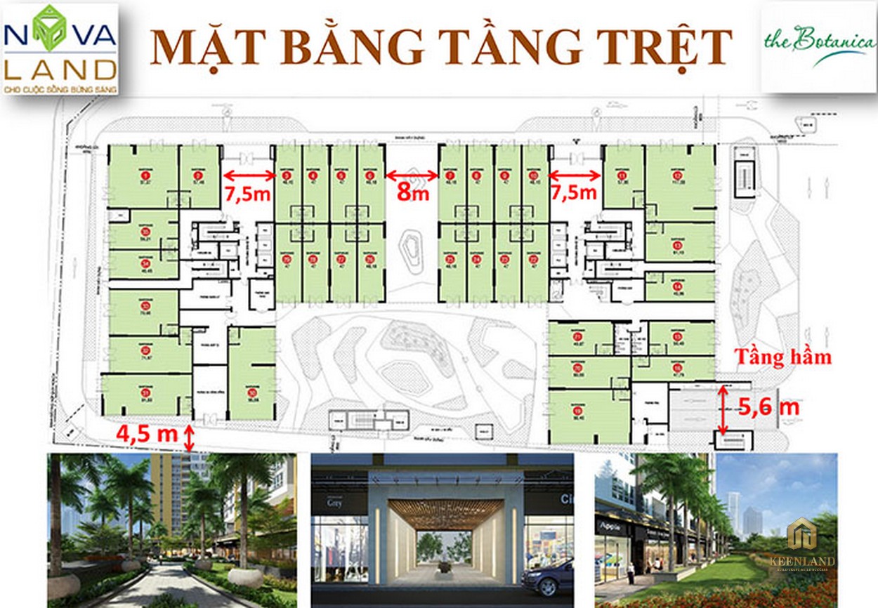 Mặt bằng tầng trệt dự án The Botanica