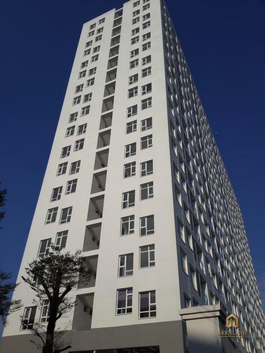 Tổng thể dự án Lotus Apartment