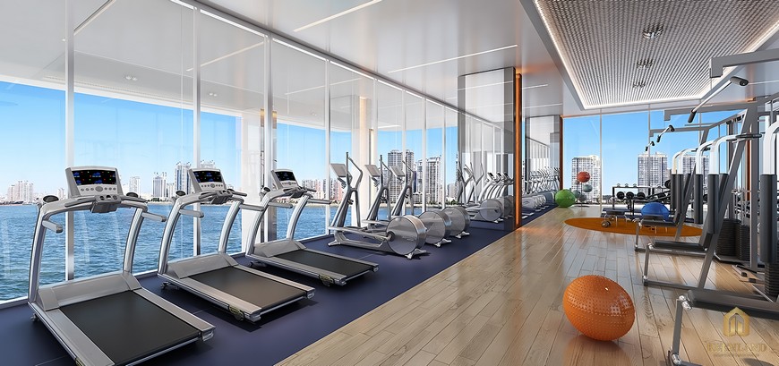 Phòng tập gym căn hộ An Gia Riverside quận 7