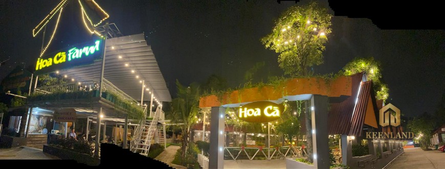 Hoa cà Farm - Làng cá Sấu