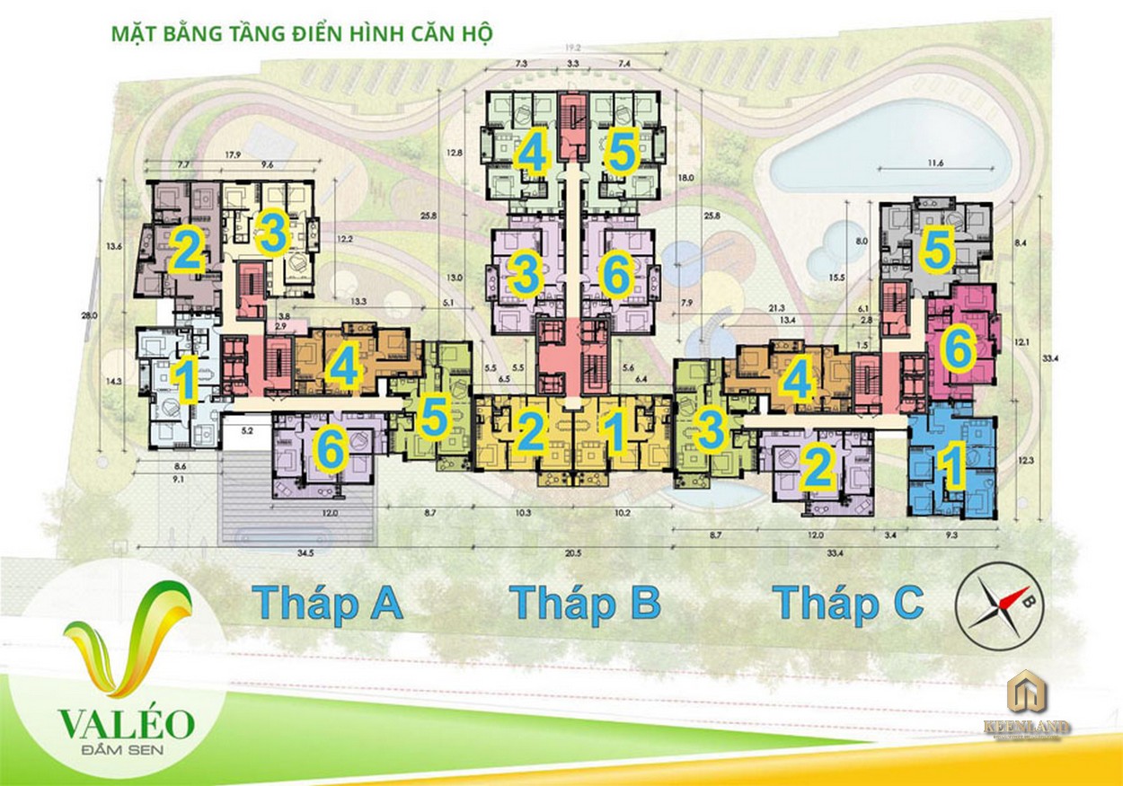 Mặt bằng tầng điển hình Valéo Đầm Sen