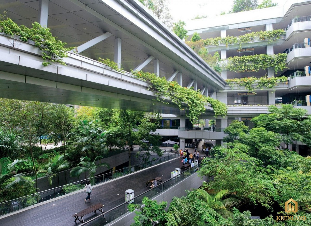 Biophilic design là một phương pháp thiết kế có lợi cho con người và môi trường