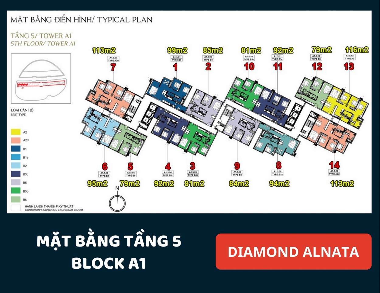 Mặt bằng Diamond Alnata Tân Phú