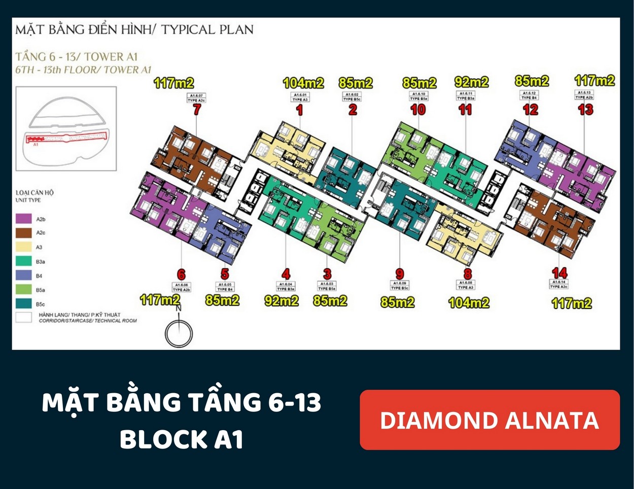 Mặt bằng Diamond Alnata Tân Phú