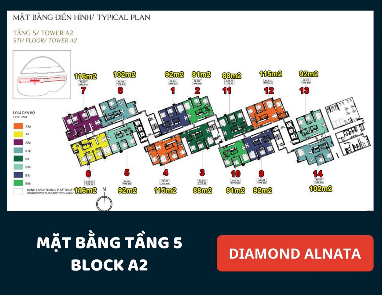 Mặt bằng Diamond Alnata Tân Phú