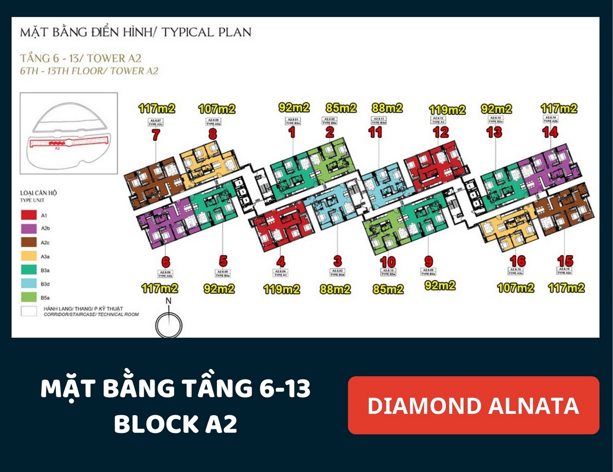 Mặt bằng Diamond Alnata Tân Phú