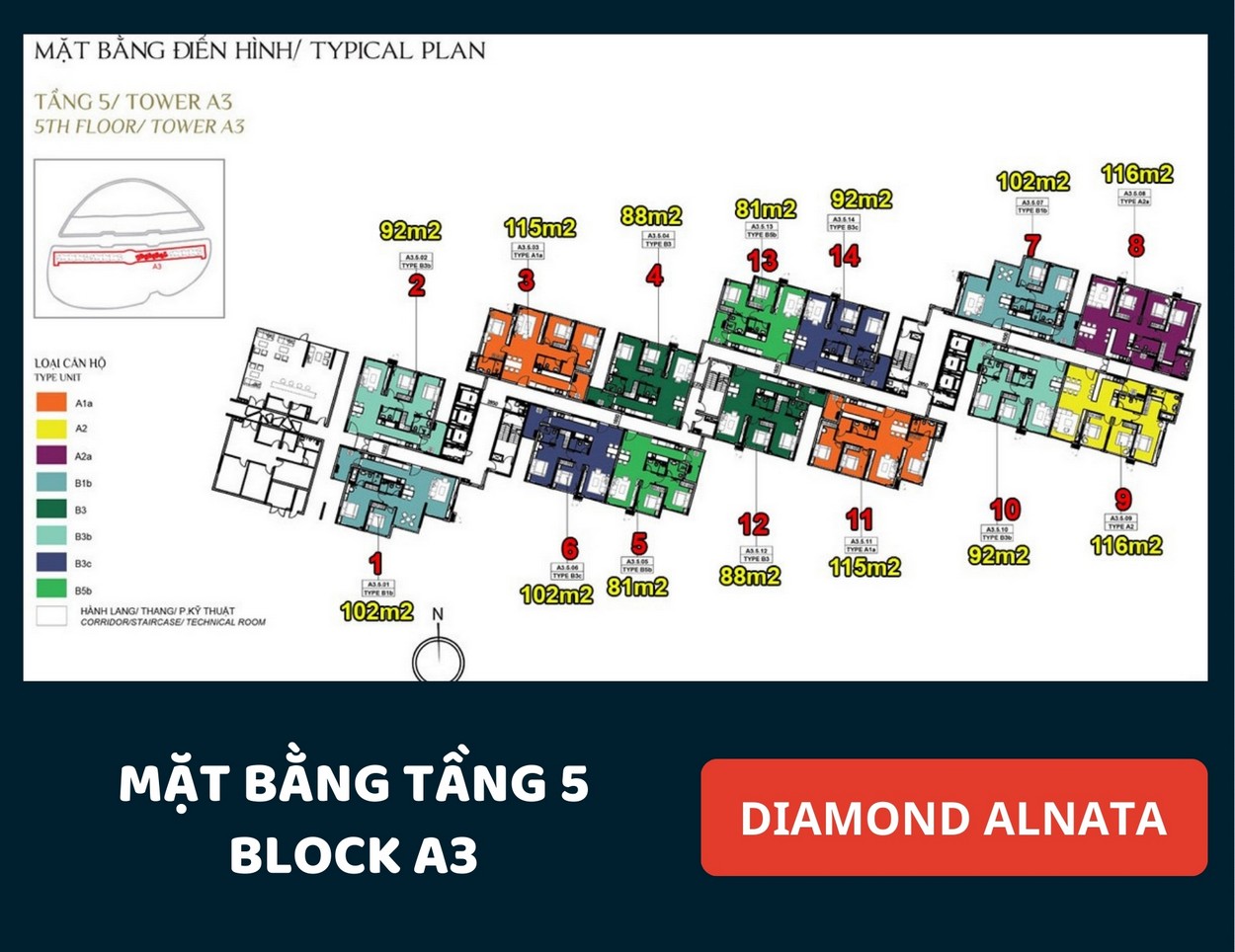 Mặt bằng Diamond Alnata Tân Phú