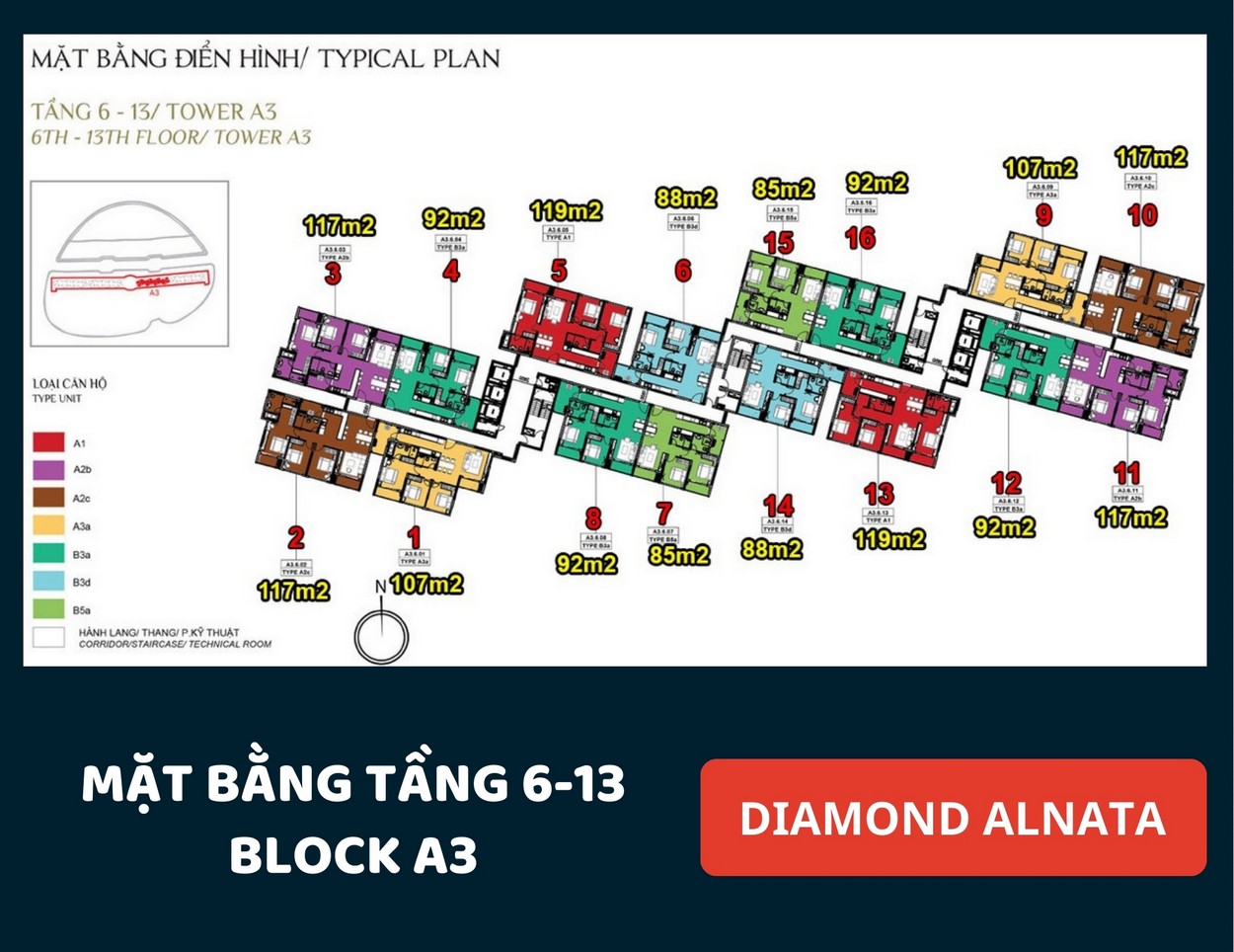 Mặt bằng Diamond Alnata Tân Phú