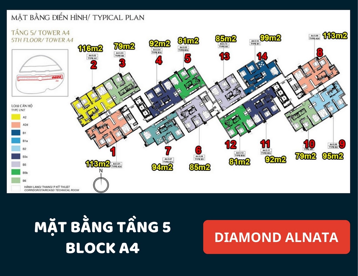 Mặt bằng Diamond Alnata Tân Phú