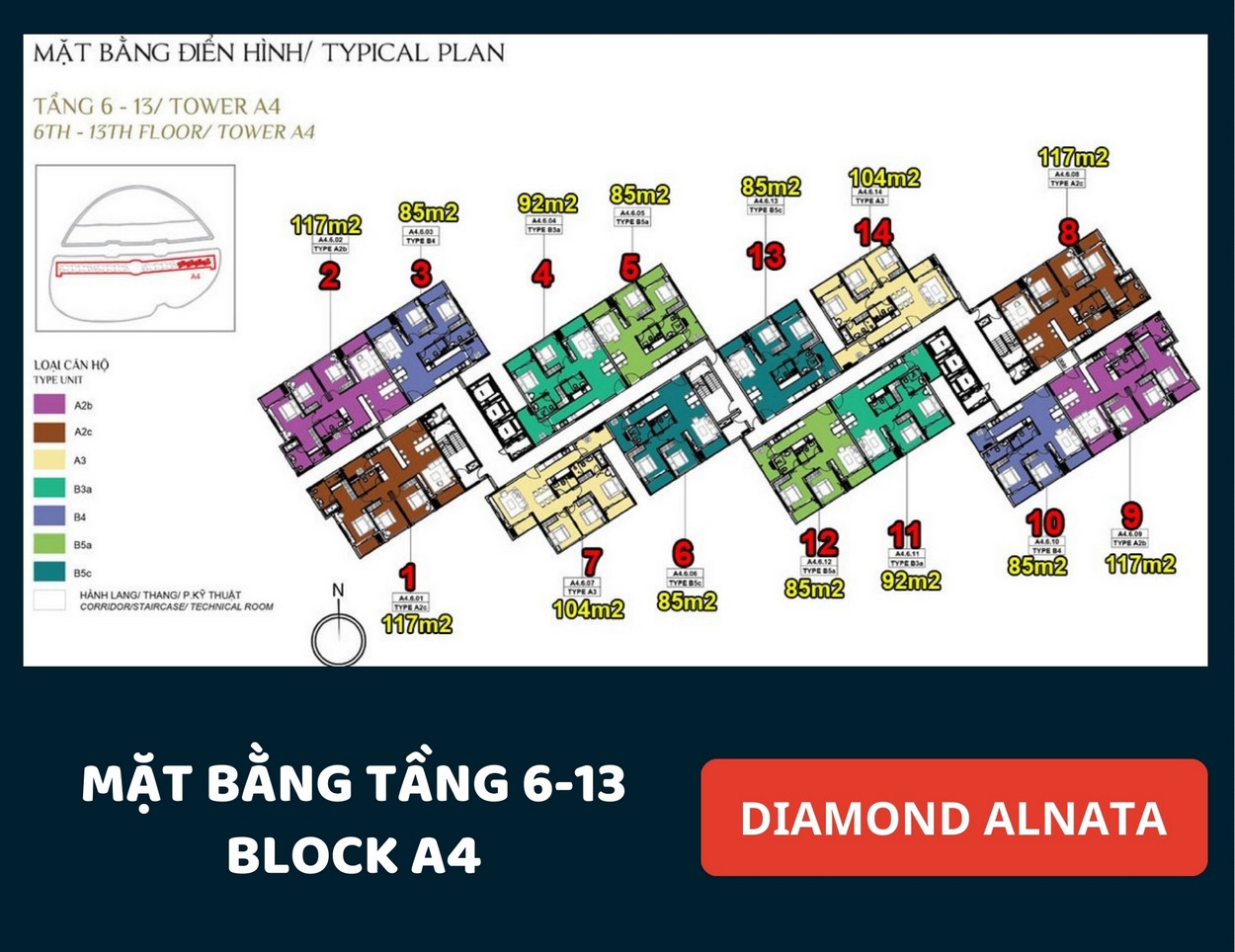 Mặt bằng Diamond Alnata Tân Phú