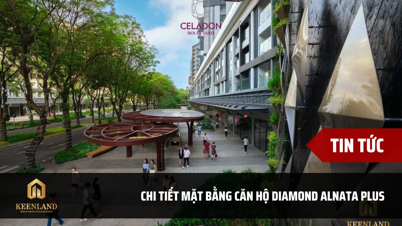 Chi tiết mặt bằng căn hộ Diamond Alnata Plus Celadon City